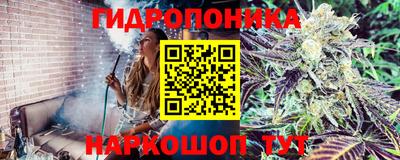 альфа пвп Ставрополь